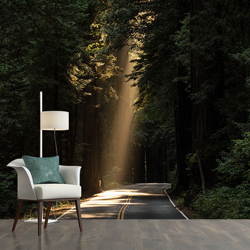 Modern Style Wall Mural Wallpaper Quiet Forest Sitting Room Wall Mural
