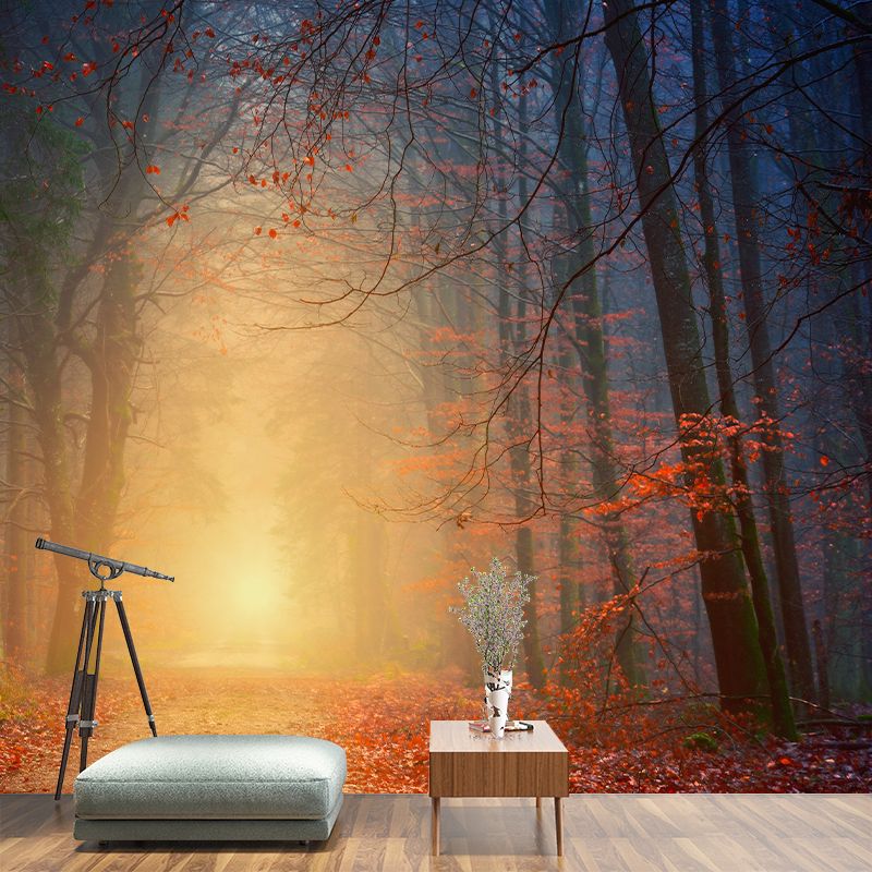 Forest Photography Stain Resistant Wallpaper Living Room Wallpaper