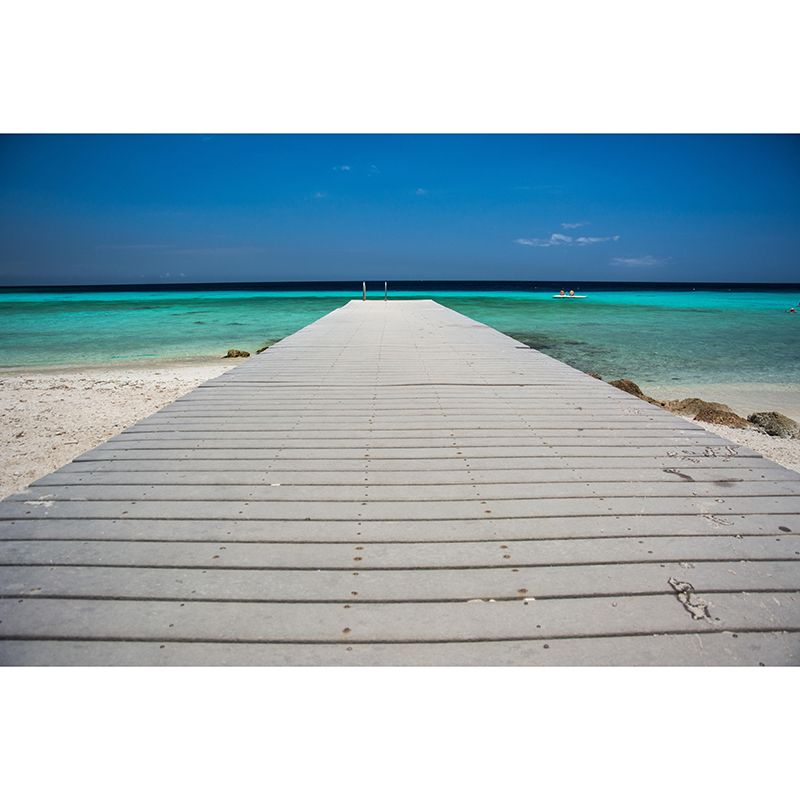 Modern Style Coastal Mural Wallpaper Mildew Resistant for Living Room Decor