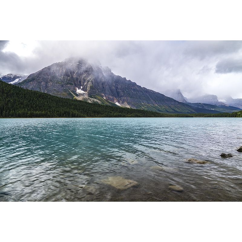 Photography Mural Wallpaper for Sitting Room Decor Multiple Sizes Available