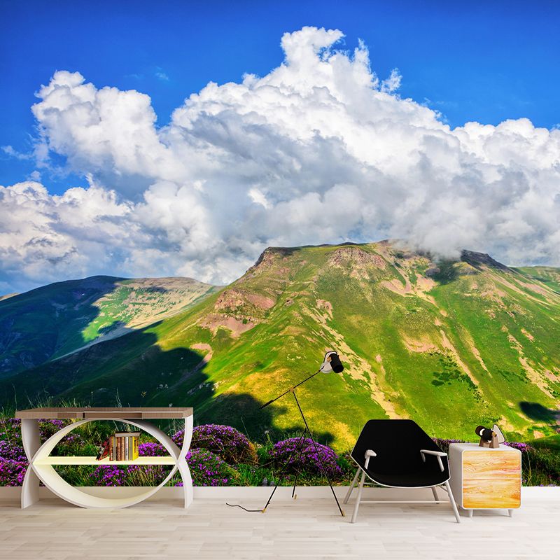 Mountain Scenery Wall Mural Modernism Style Wall Decoration for Living Room