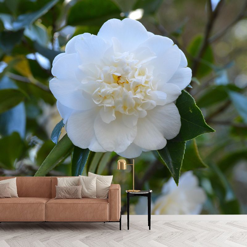 Contemporary Blooming Camellia Mural Wallpaper Environmental for Bedroom
