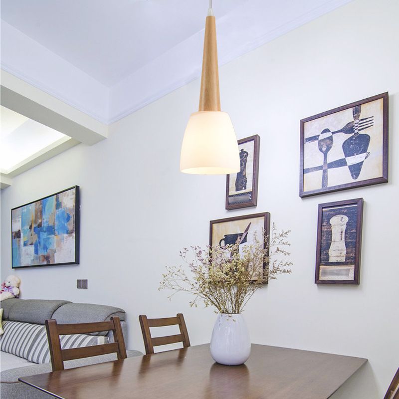 Verre Unique Forme suspendue Lumières Modern Style en bois suspendu le montage