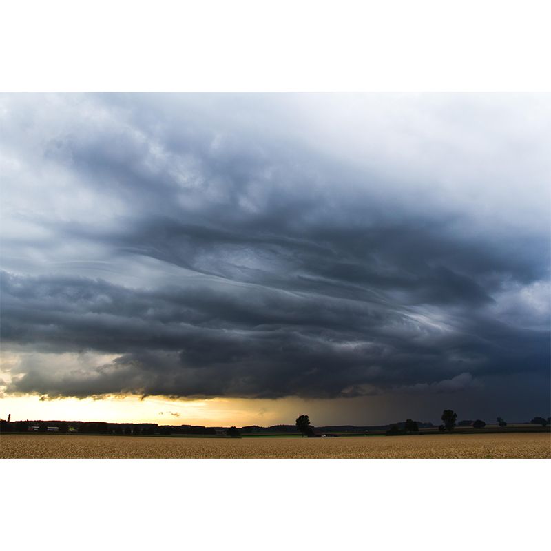 Sky Wall Mural Wallpaper Modern Style Mildew Resistant for Dining Room