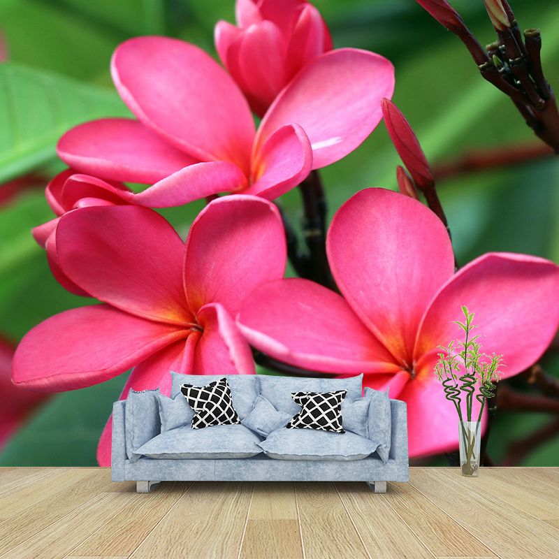 Customized Plumerias Flower Wall Mural Horizontal Photography for Sleeping Room Decoration