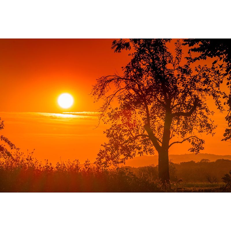 Contemporary Style Sky Scenery Mural Eco-friendly Home Decor for Bedroom