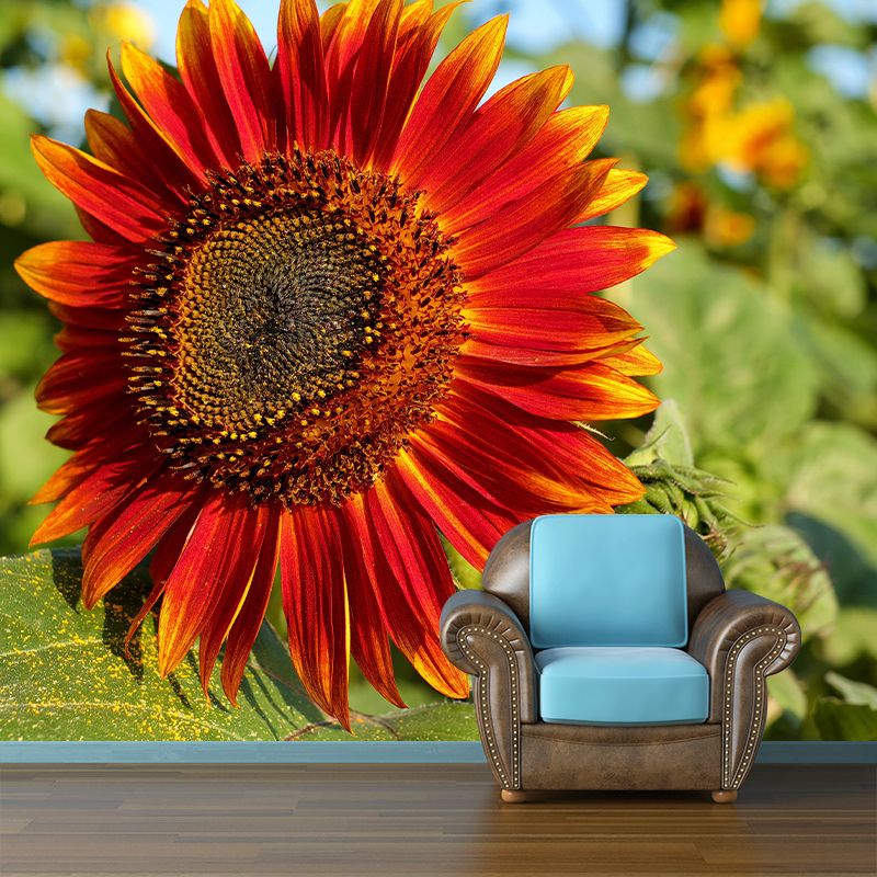 Blooming Sunflower Mural Wallpaper Environmental Contemporary for Bedroom