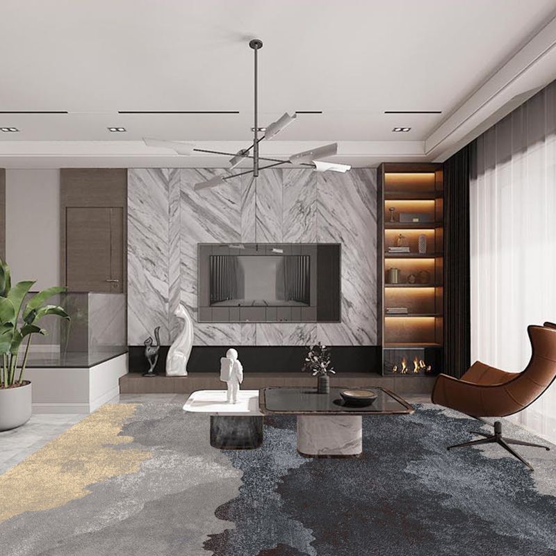 Grey Modern Carpet Polyester Graphic Carpet Stain Resistant Carpet for Drawing Room