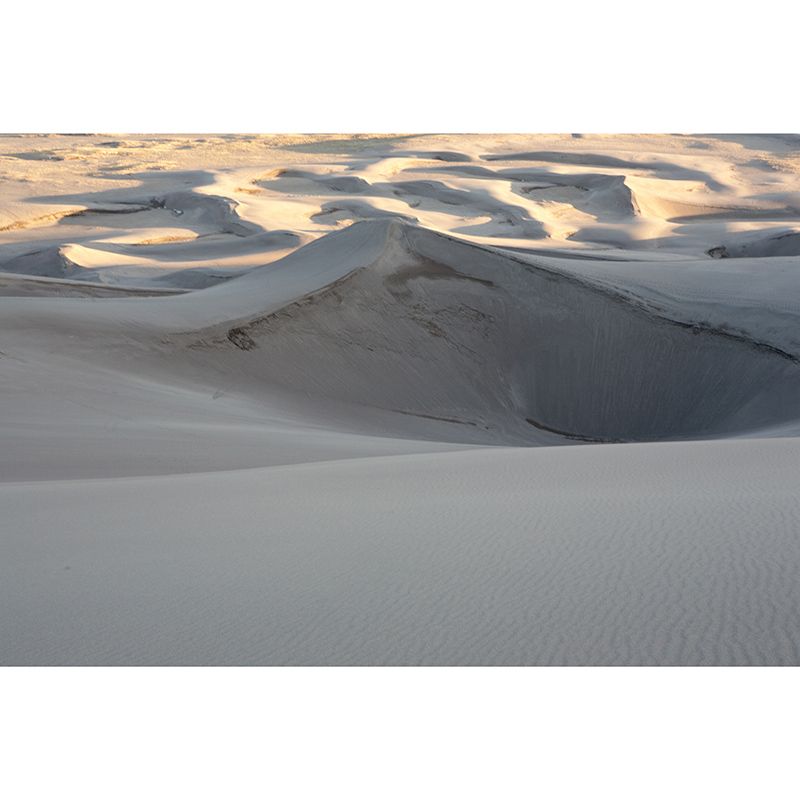 Dry Desert Contemporary Mural Decal Sitting Room Water Resistant Wall Decor