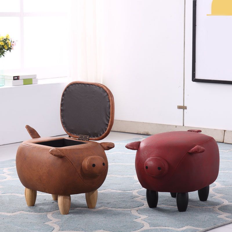 Modern Standard Pig Water Resistant Standard for Living Room