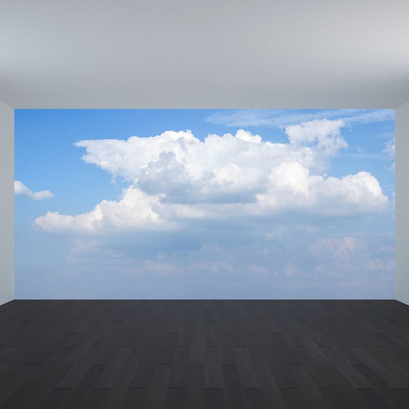 Cloudscape Stain Resistant Wall Art for Living Room Bedroom, Made to Measure