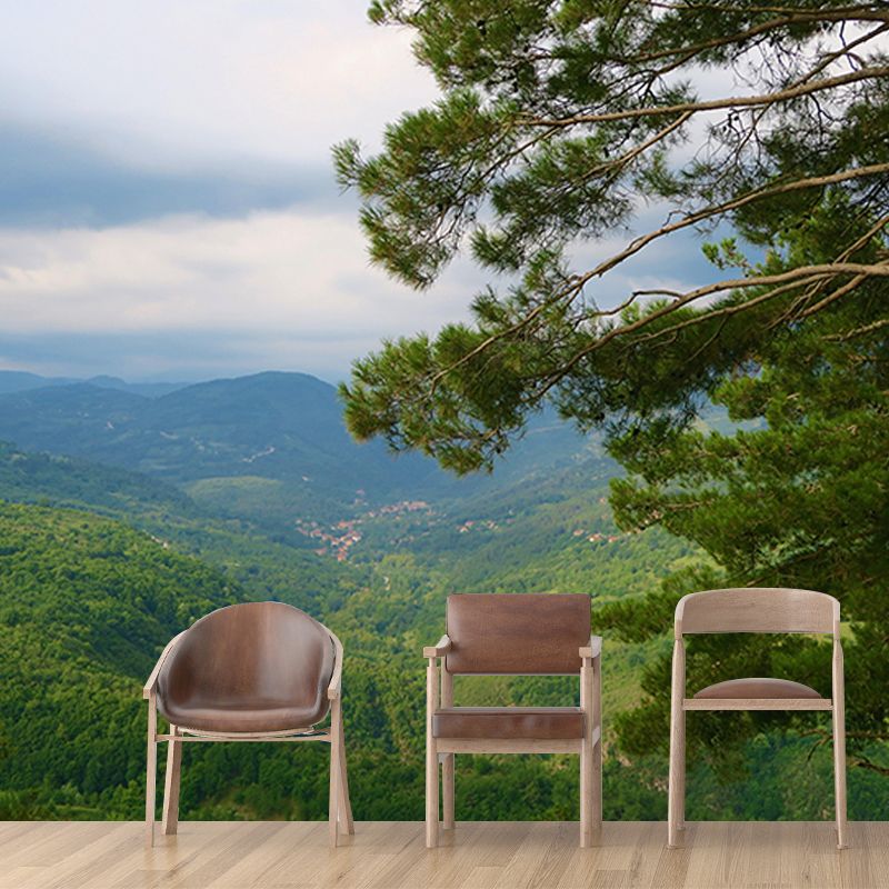 Wallpaper Contemporary Photography Forest Wall Mural Bathroom Wall Covering