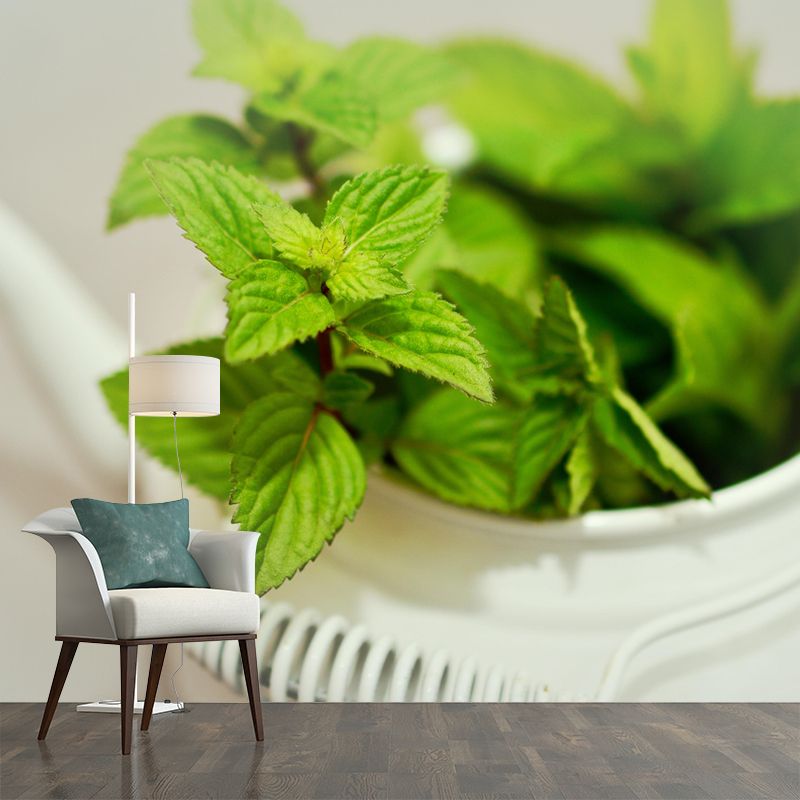 Contemporary Mint Mural Environment Friendly Wallpaper for Living Room