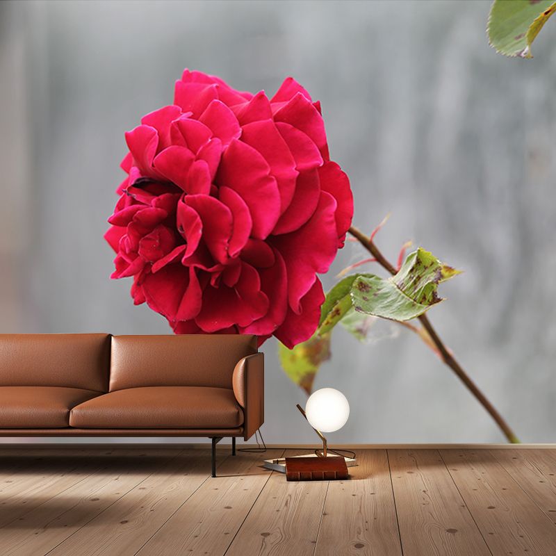 Beautiful Rose Flower Wall Decals Removable Mural Wallpaper, Waterproofing