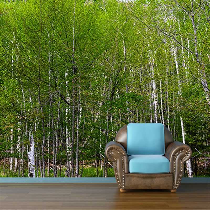 Forest Photo Wall Mural for Living Room Bedroom Wall Decor, Made to Measure