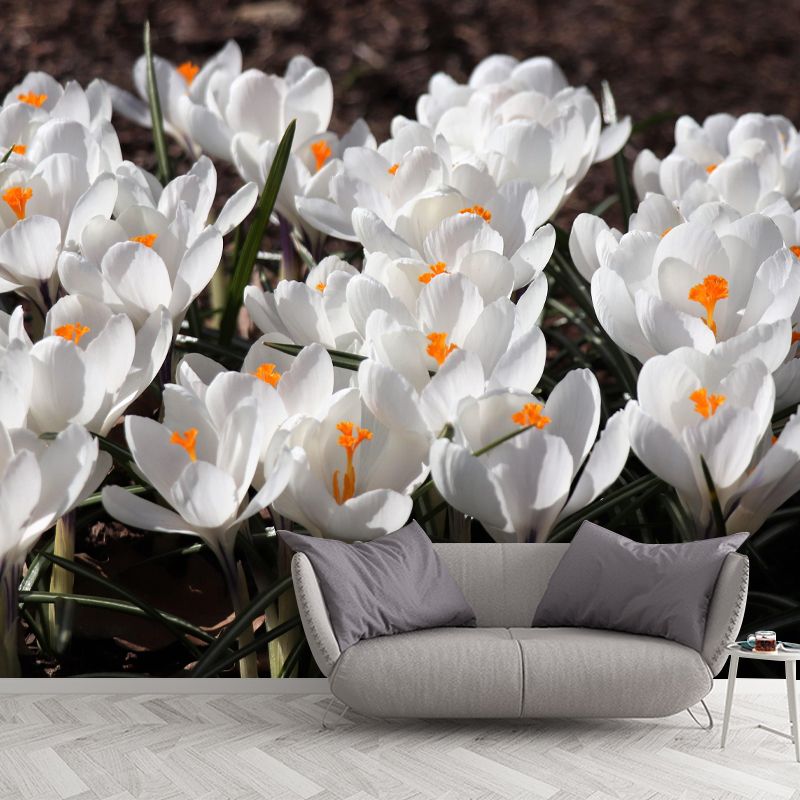 Horizontal Photography Crocus Wall Mural for Living Room Girls Women Bedroom