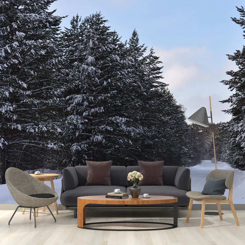 Eco-friendly Photography Forest Landscapes Mural Wallpaper for Decoration