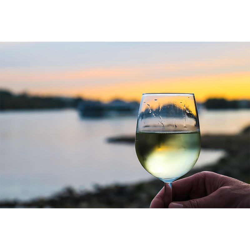 Commercial Wine Shop Mural Photography Decorative Wallpaper Moisture Resistant