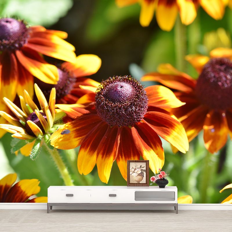 Cone Flower Blooming Mural Contemporary Photography for Living Room Decoration