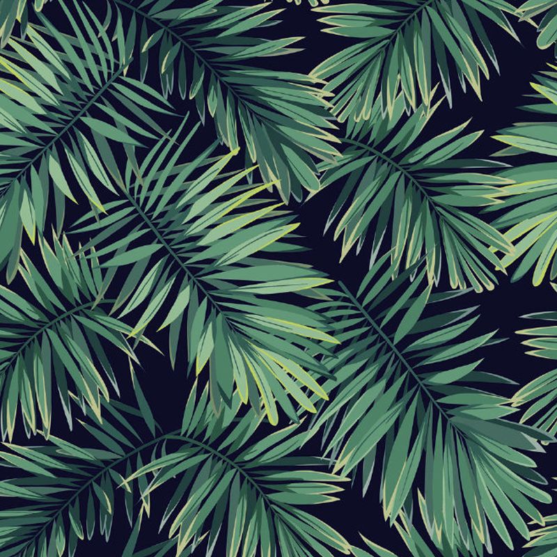 Leaves Pattern Mural Decal Tropical Decorative Kitchen Wall Covering, Made to Measure