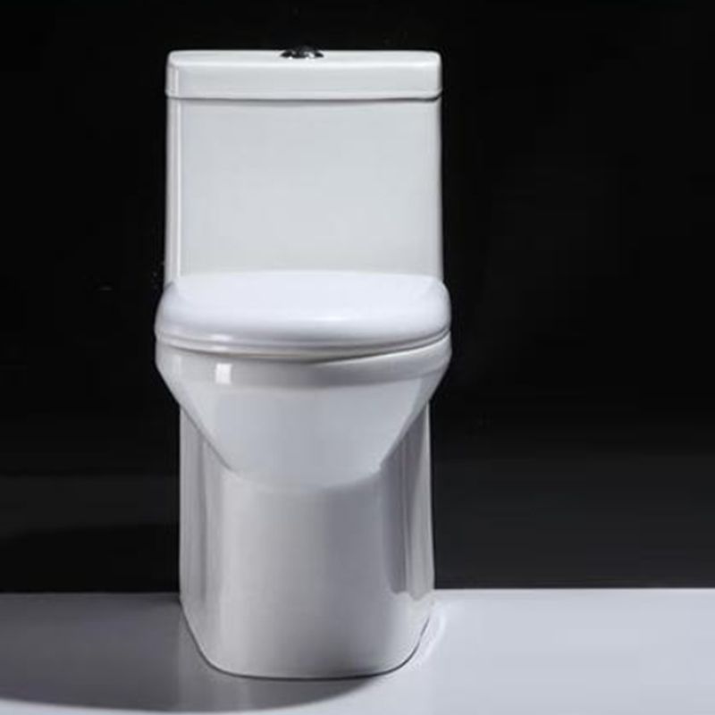 Contemporary Floor Mounted Toilet Seat Included Toilet Bowl for Bathroom