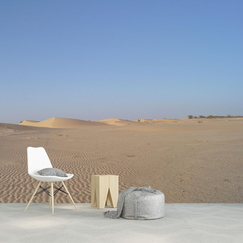 Desert Wall Mural Stain Resistant Wall Covering for Living Room Bedroom