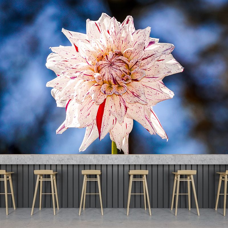 Dahlia Blooming Flower Mural pour l’intérieur de la maison, couleur douce, taille personnalisée disponible