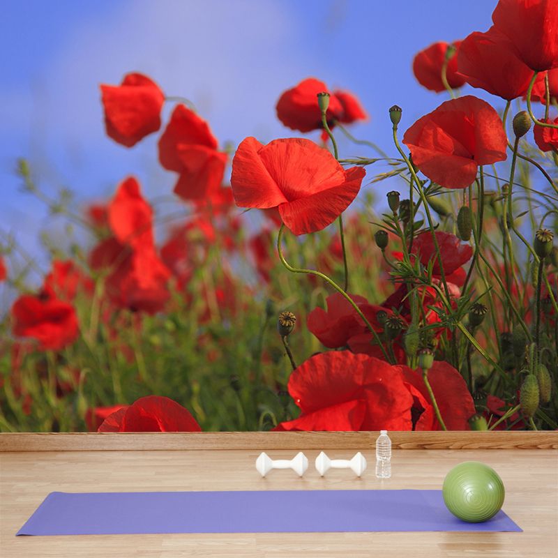 Poppies Flowe Mural Decal Contemporary Wallpaper Eco-friendly Wall Decor for Bedroom