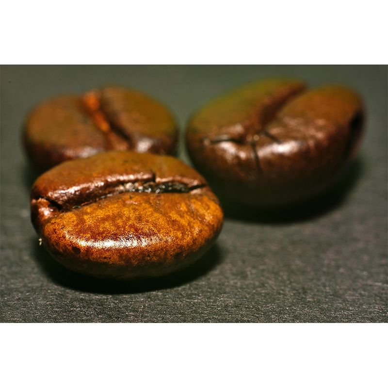 Coffee Beans Mural Photography Mildew Resistant Wall Covering for Coffee Shop