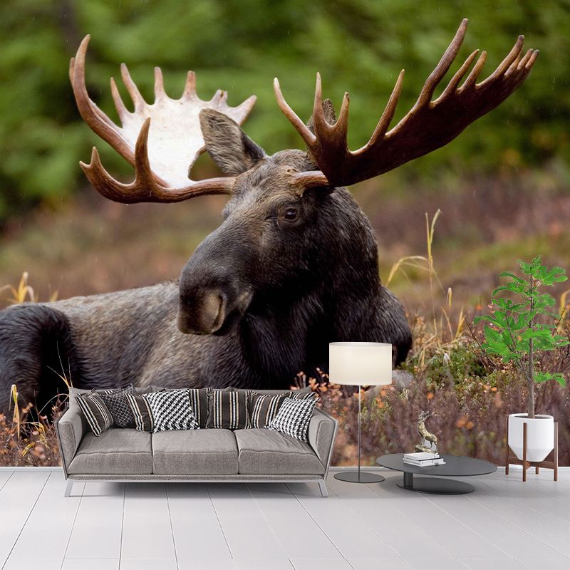 Moose Mural Decal Eco-friendly Wallpaper Customized Wall Covering for Sitting Room