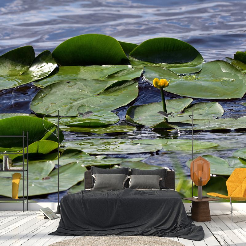 Green Lotus Leaf Full Size Wall Mural for Living Room, Moisture Resistant