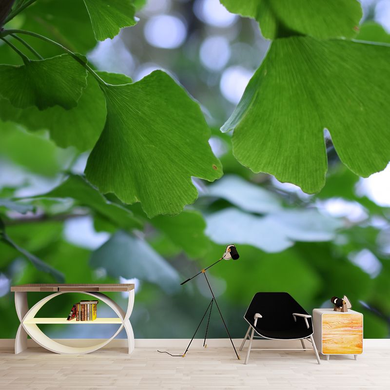 Ginkgo Biloba Mural Wallpaper Contemporary Wall Covering for Sitting Room