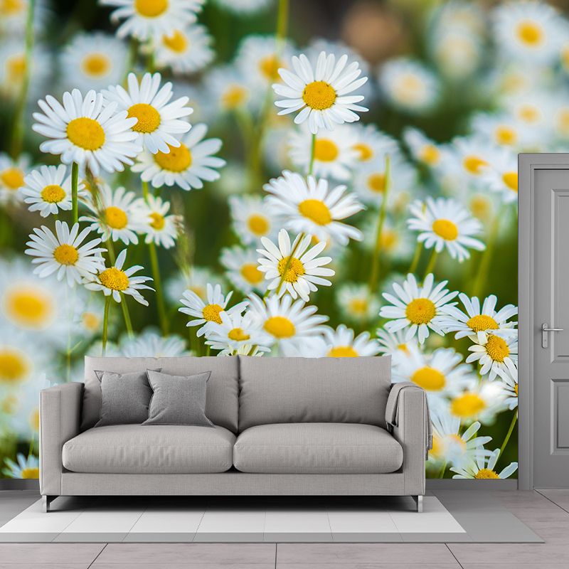 Peintures murales décoratives de photographie de marguerites de couleur claire pour les chambres à coucher
