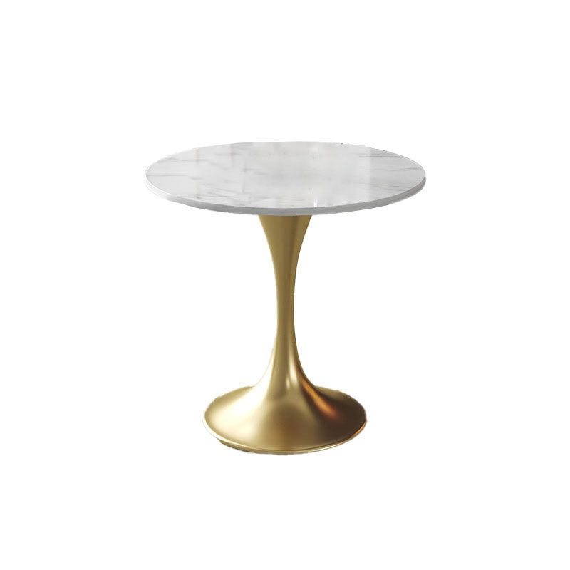Metal Traditional Luxury Round Table for Home Sintered Stone Table with Tulip