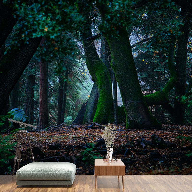 Environment Friendly Resistant Mural Wallpaper Quiet Forest Sleeping Room Wall Mural