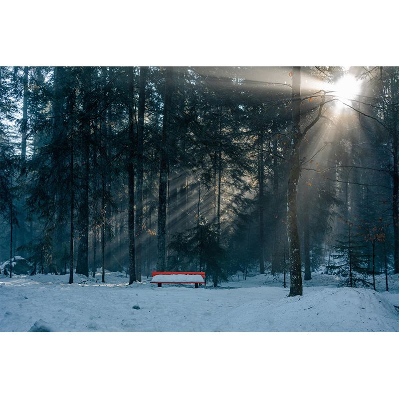 Natural Landscape Wall Mural Contemporary Decorative Living Room Wall Art