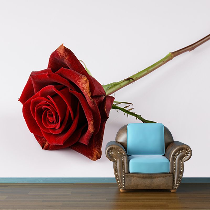Photography Stain Resistant Wallpaper Beautiful Roses Living Room Wall Mural