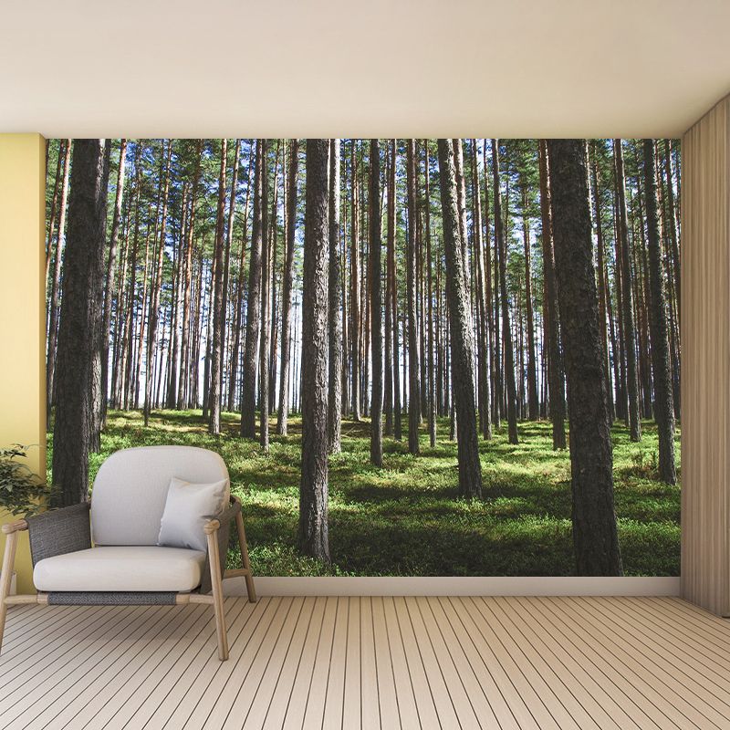 Decorative Photography Wallpaper Forest Sitting Room Mural Wallpaper