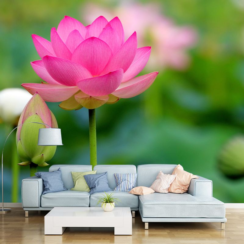 Water Plant Lotus Wall Mural Decal Water Resistant, Custom Size Available