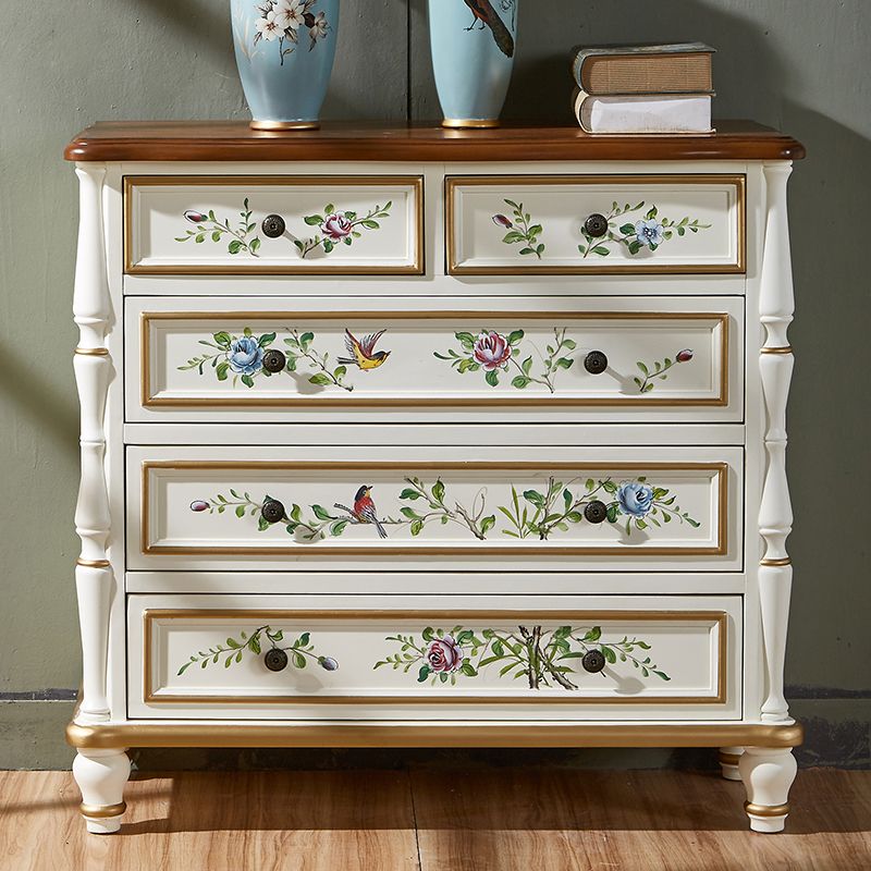 Horizontal Storage Chest Dresser Traditional Dresser with Drawers