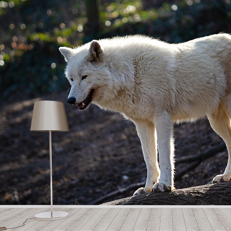 Contemporary Arctic Wolf Wall Mural Mildew Resistant Covering for Dining Room