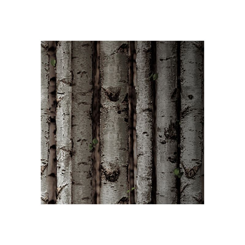 Unpasted Birch Forest Wallpaper Roll PVC Farmhouse Wall Covering for Dining Room