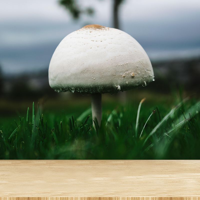 Customized Mushroom Wall Decor Kitchen Murals Moisture Resistant Backsplash