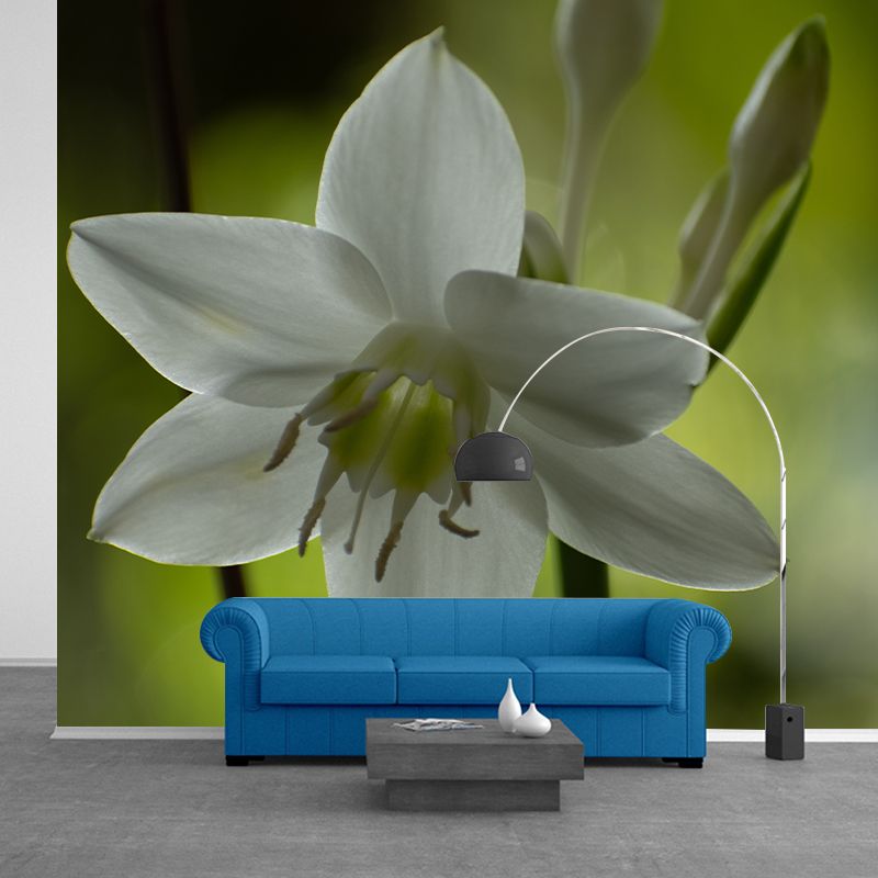 Beautiful Orchid Photo Mural Wallpaper Moisture Resistant Art, Custom Size Available