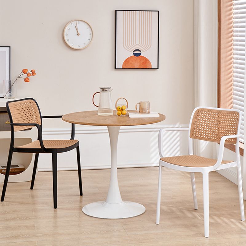 Round Dining Table Modern Natural Wooden Tabletop with Tulip Base