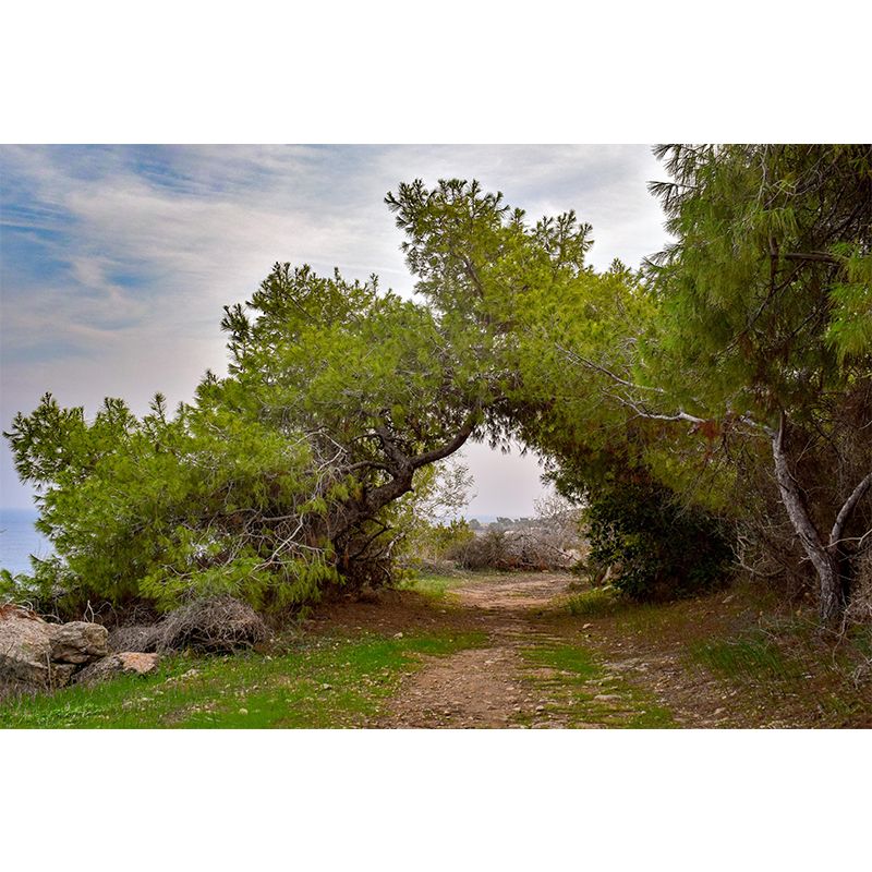 Modern Style Spatial Extension Mural Mildew Resistant Wallpaper for Home