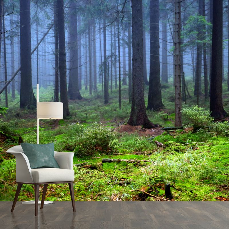 Huge Forest Mural Horizontal Photography Wall Covering for Living Room