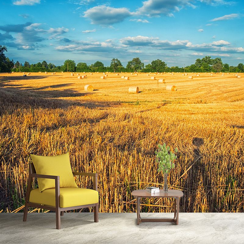 Contemporary Moisture Resistant Bales Mural Wall Covering for Decoration