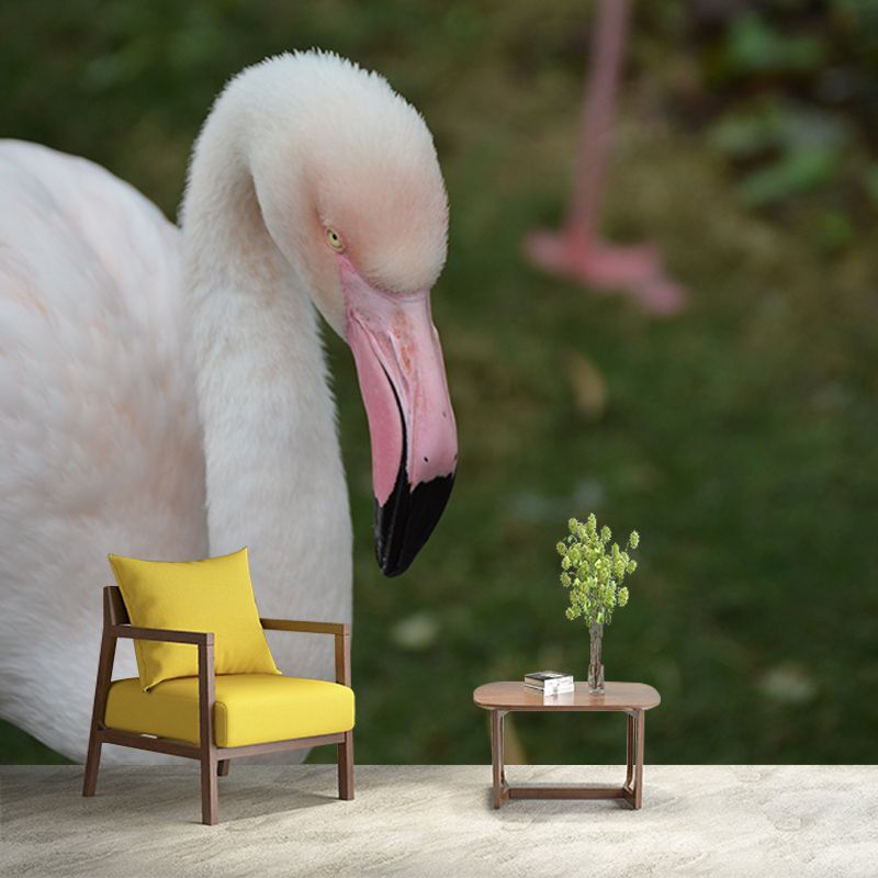 Tropical Flamingo Moisture Resistant Mural Decal Modern Wall Decor for Sleeping Room