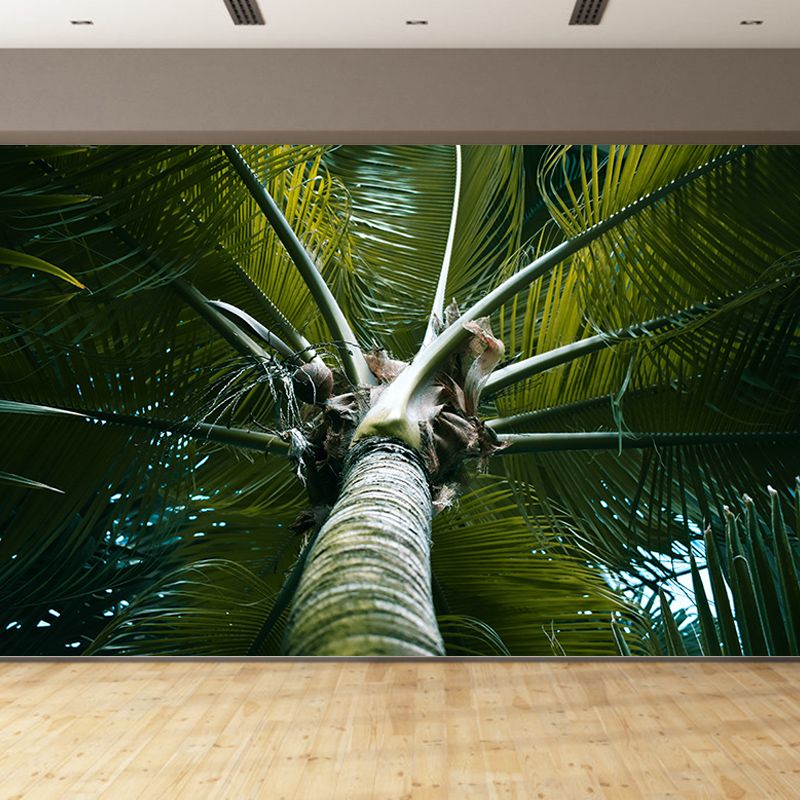 Tropical Palm Tree Wall Paper Murals Decoration for Gust Room, Made to Measure